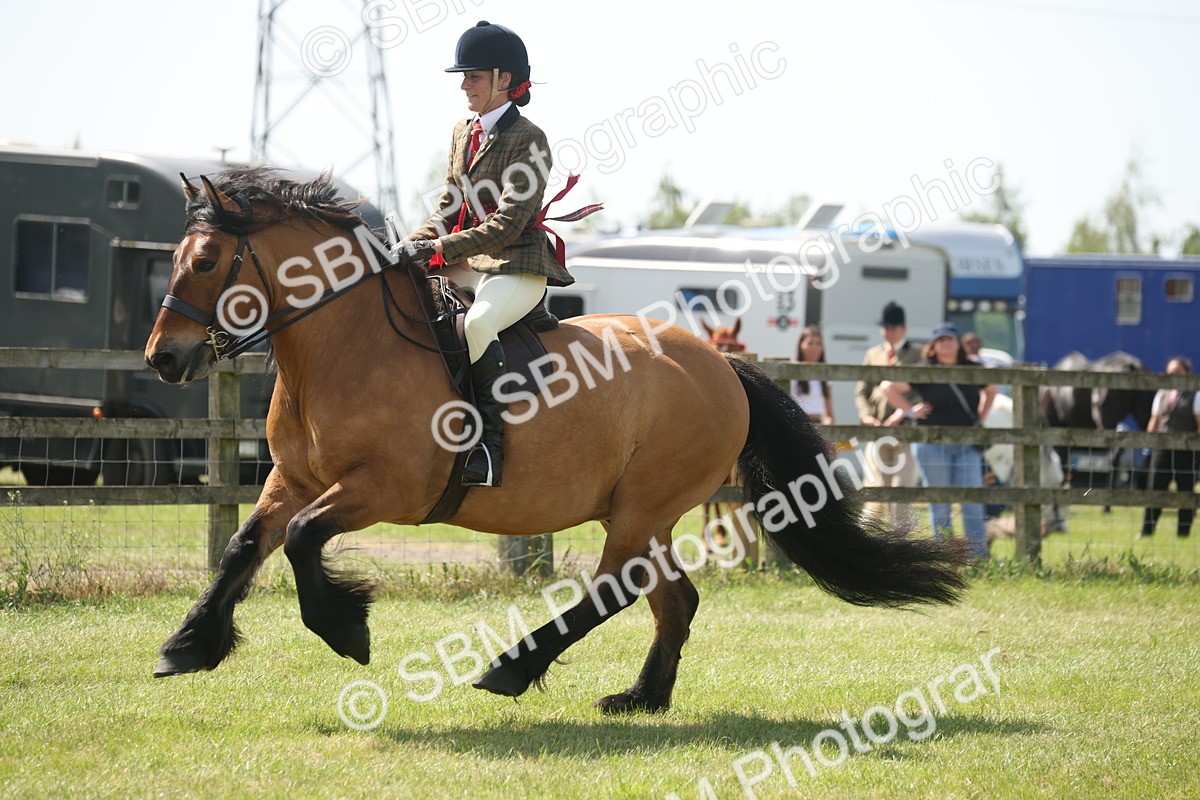 SBM_07711 - Class 26-30 - Mountain and Moorland Ridden