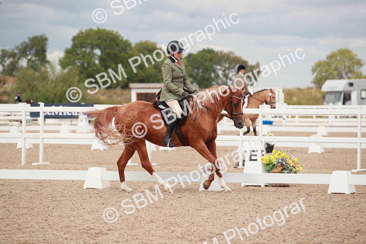 SBM_05994 - Class 32 - Novice 1