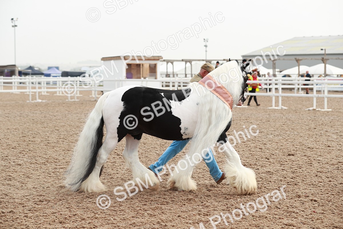 SBM_09595 - Class 201 Best Turned Out IH