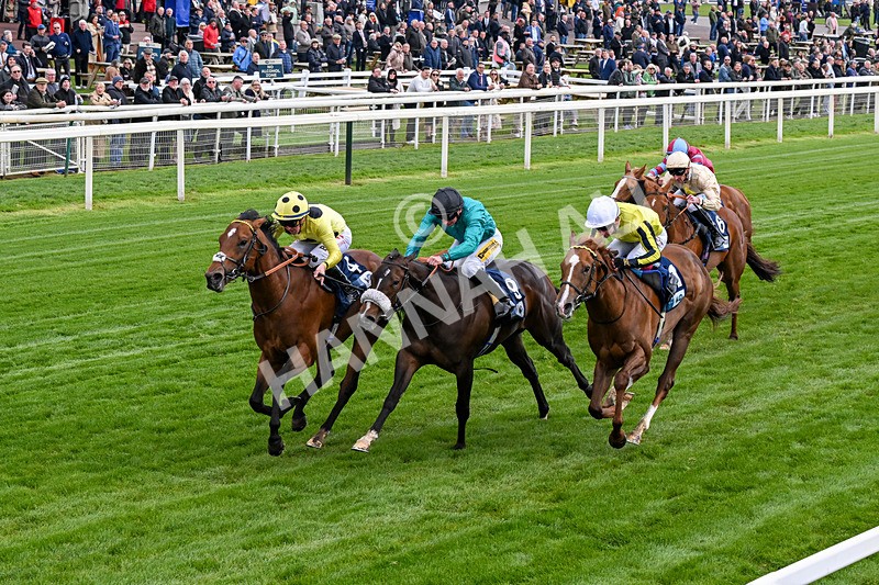 140526-Race 6-Dickensian-0341 - Race 6 4.40pm British Stallion Studs EBF Westow Stakes