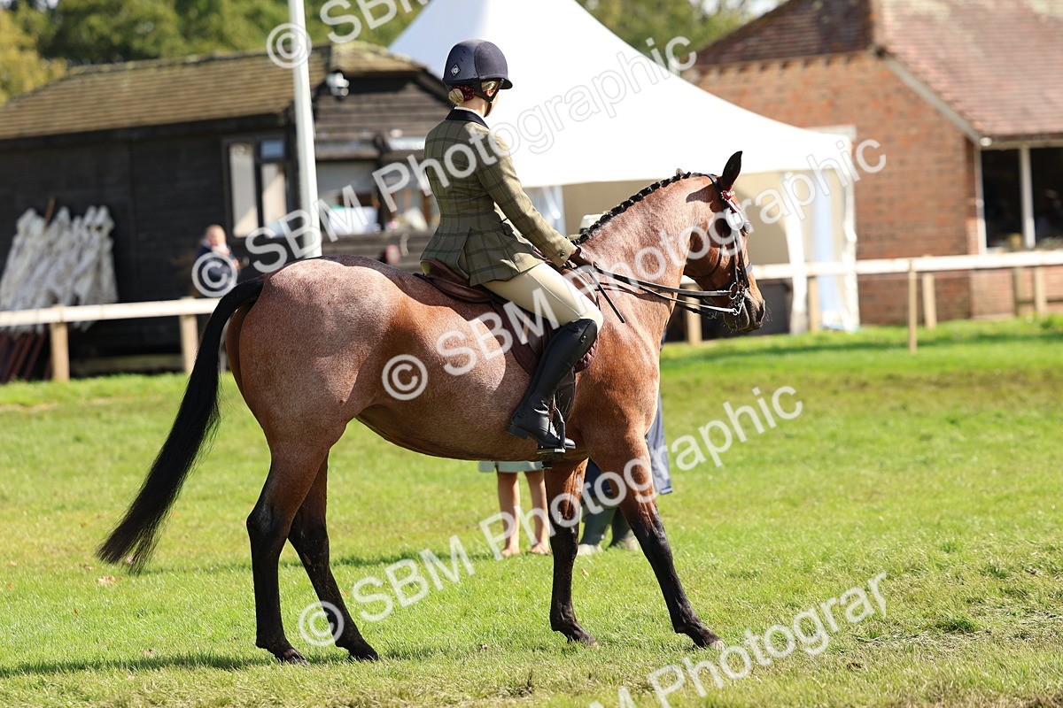 SBM_45303 - S27 - Young Veteran Ridden