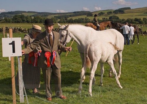 181 - Moniaive Horse Show 2008