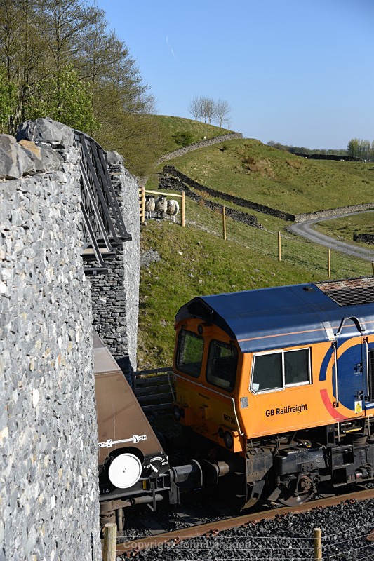 Arcow shunting moves attract sheep gallery - May '17 - Arcow branch