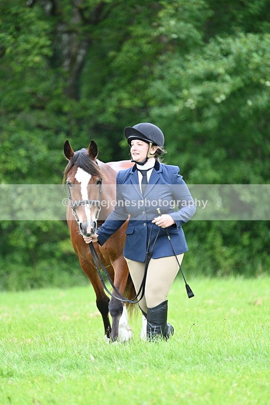WJ7_4387 - Class 14B Prettiest Mare