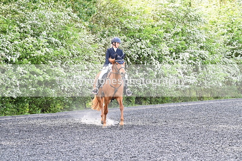 WJ7_7906 - Time 10:11 to 10:27