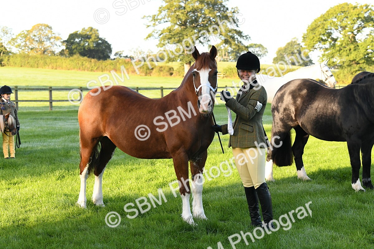 SBM_32705 - S15 - Condition & Turnout In Hand