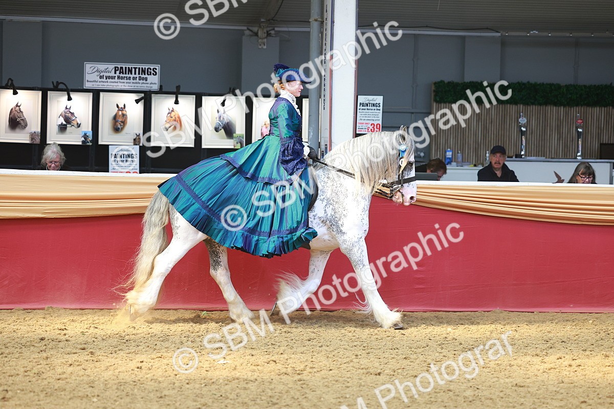 SBM_13972 - Class 107 - Ridden Costume = Astride Adult (15-19)