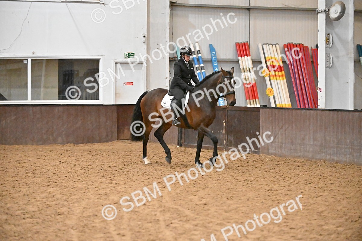 SBM_002968 - Class 37,38 - UKPSAF Performance Horse & Pony