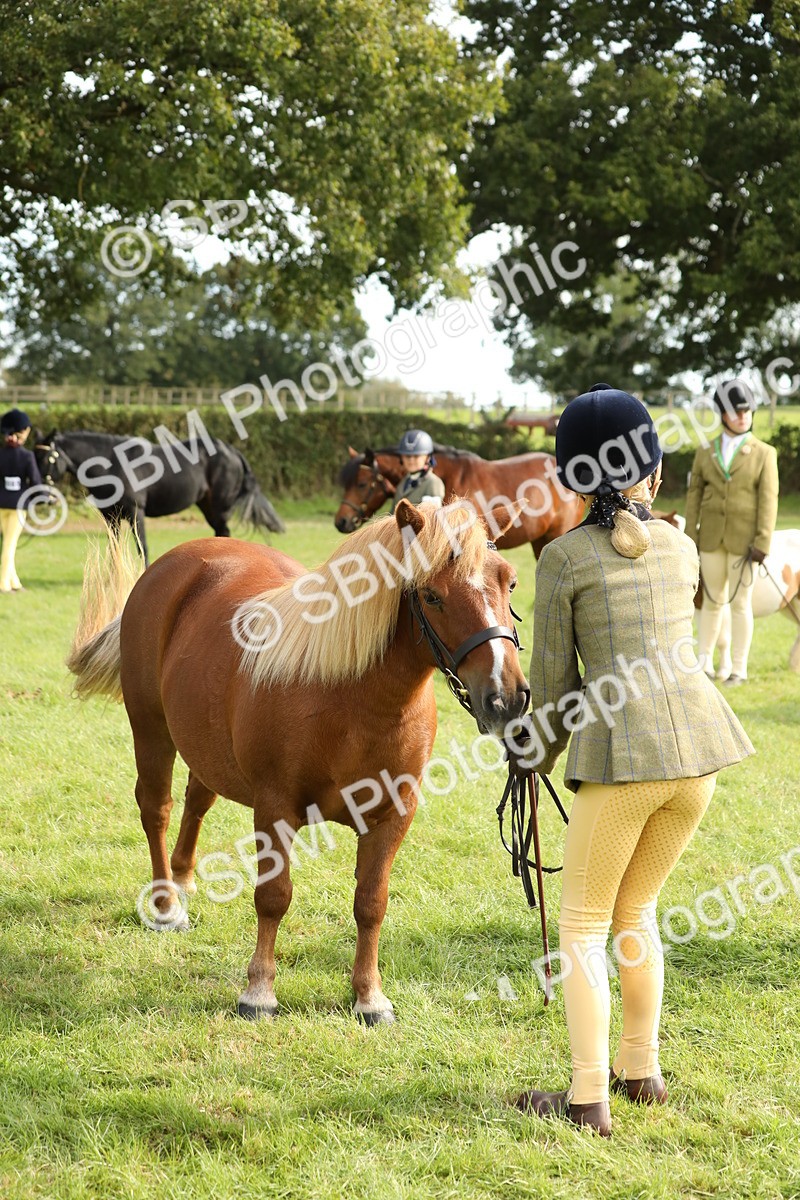 SBM_68648 - S40 - Junior Handler 9-12 Years