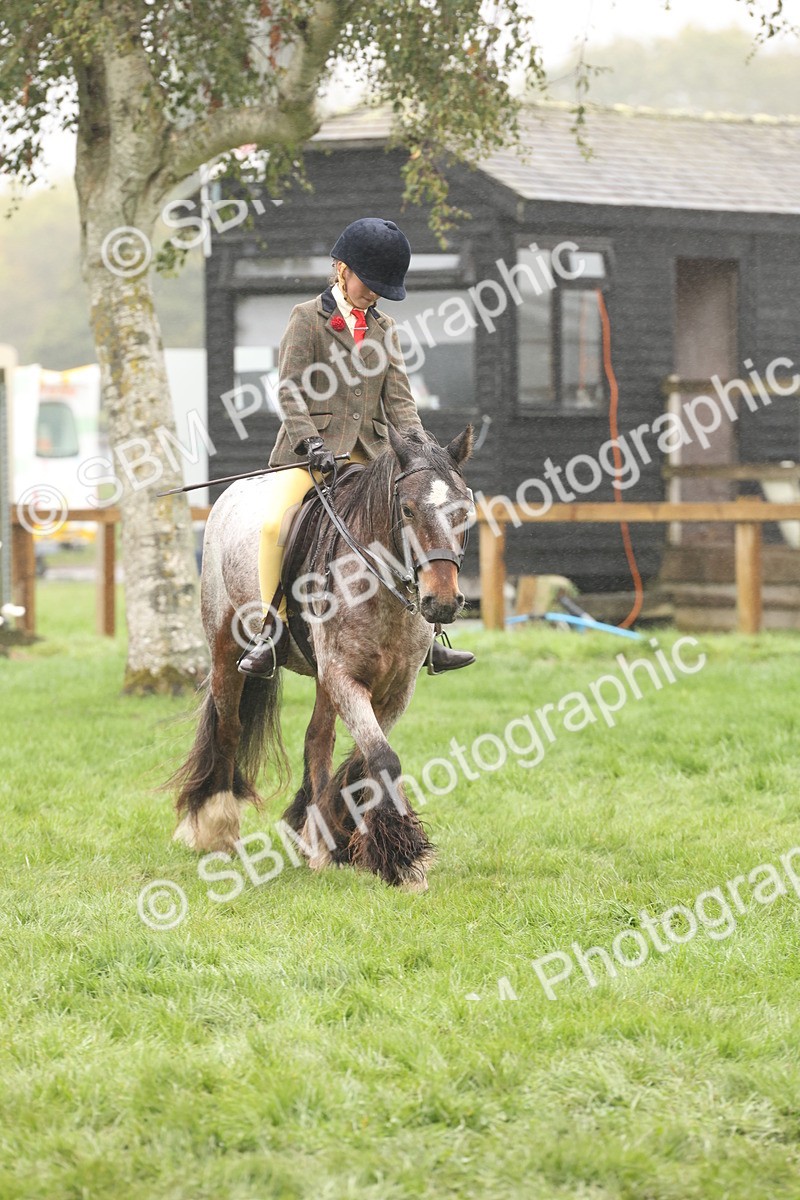 SBM_72835 - S70 - Traditional Cob Ridden