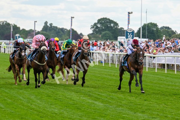 140625-Race 1-Humam-1923 - Race 1 1.50pm Doug Johnston Memorial Ubettabelieveit Macmillan Handicap