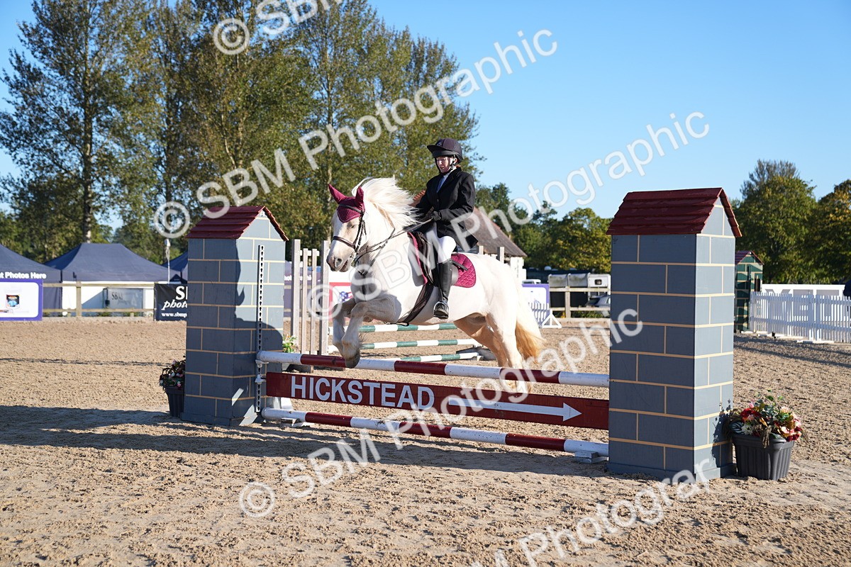 SBM_14069 - J59 - Clear Round - 65cm