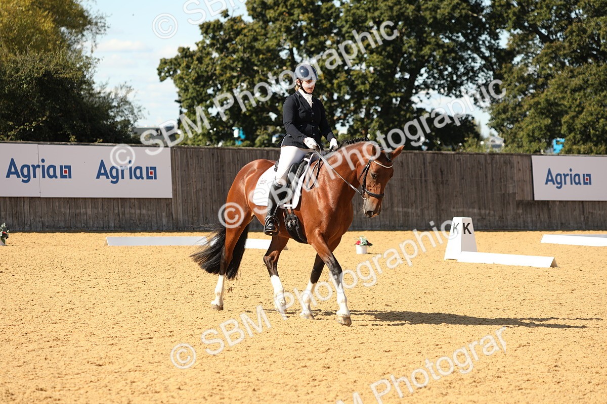 SBM_24511 - D17 - Grand Tour Championship - Novice 27