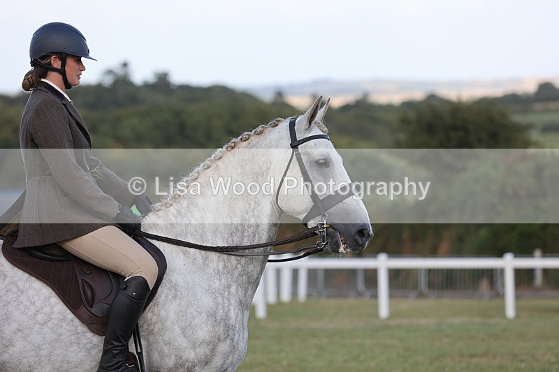 JPP_3564 - Class 22: Working Hunter 90cm