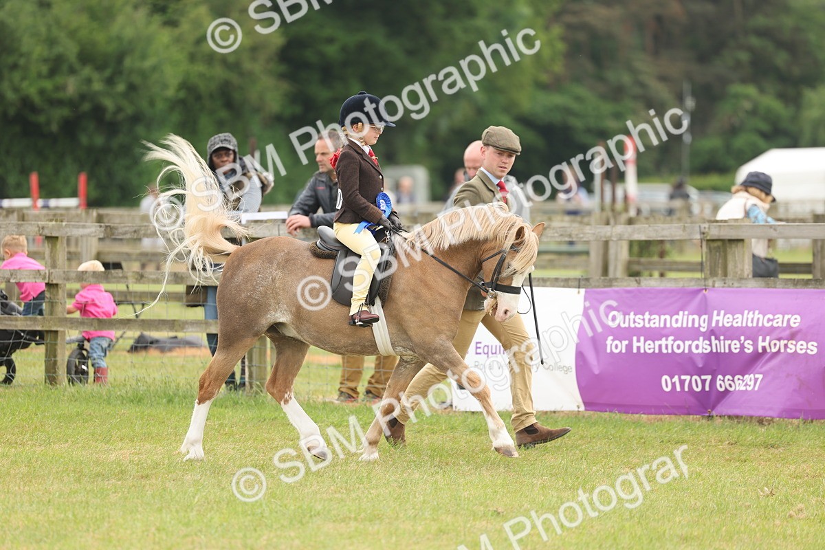 SBM_06940 - Class 74-75 - M&M Lead Rein and First Ridden Pony
