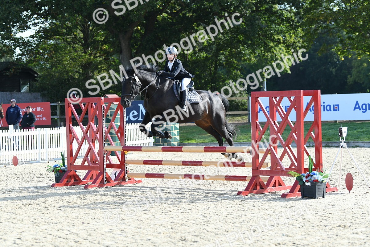 SBM_60533 - j25 - Junior Horse 80cm Championship