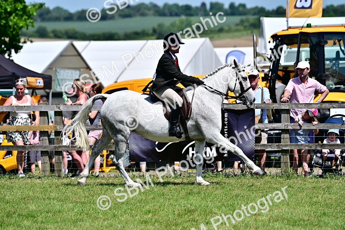 SBM_17465 - Class 95-97 - BSPS LHS Performance Ponies