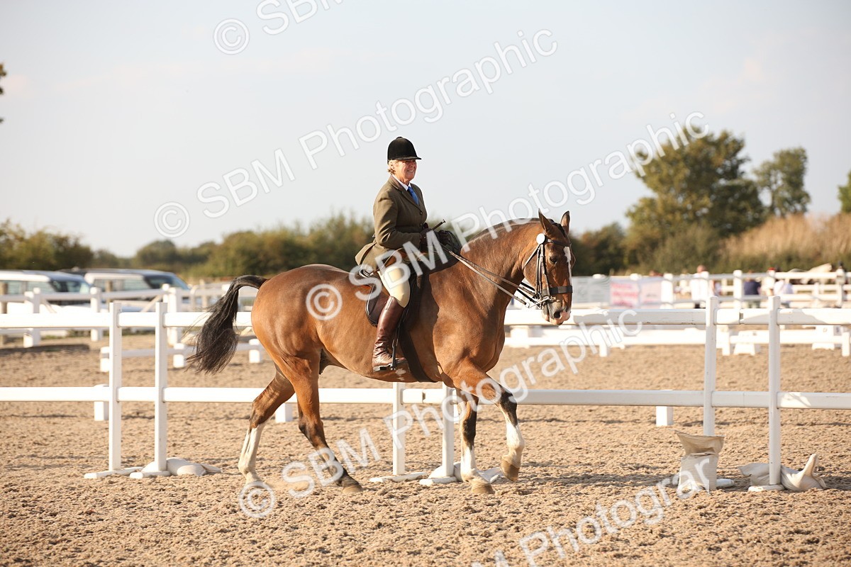 SBM_08893 - Class 12R Regional Ridden Pre-Vet