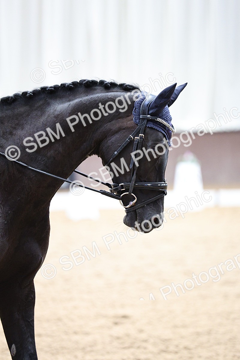 SBM_001119 - Class 5 - Novice 6