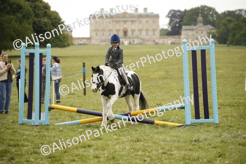 20250517-0820 - Class 2 - 30cm Off Lead Rein