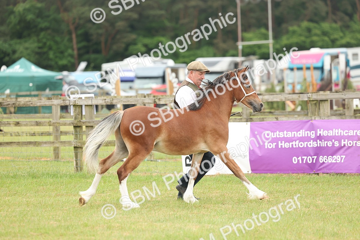 SBM_02329 - Class 50-57 - M&M Welsh Pony In Hand