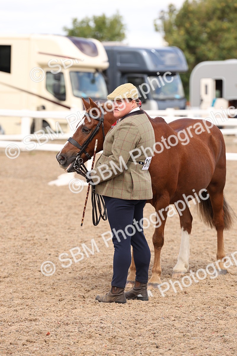 SBM_15104 - Class 209 - IH Veteran Pony