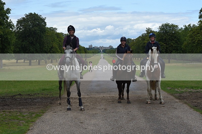 TT3_0265 - Time at Crossing 13:17 to 14:48