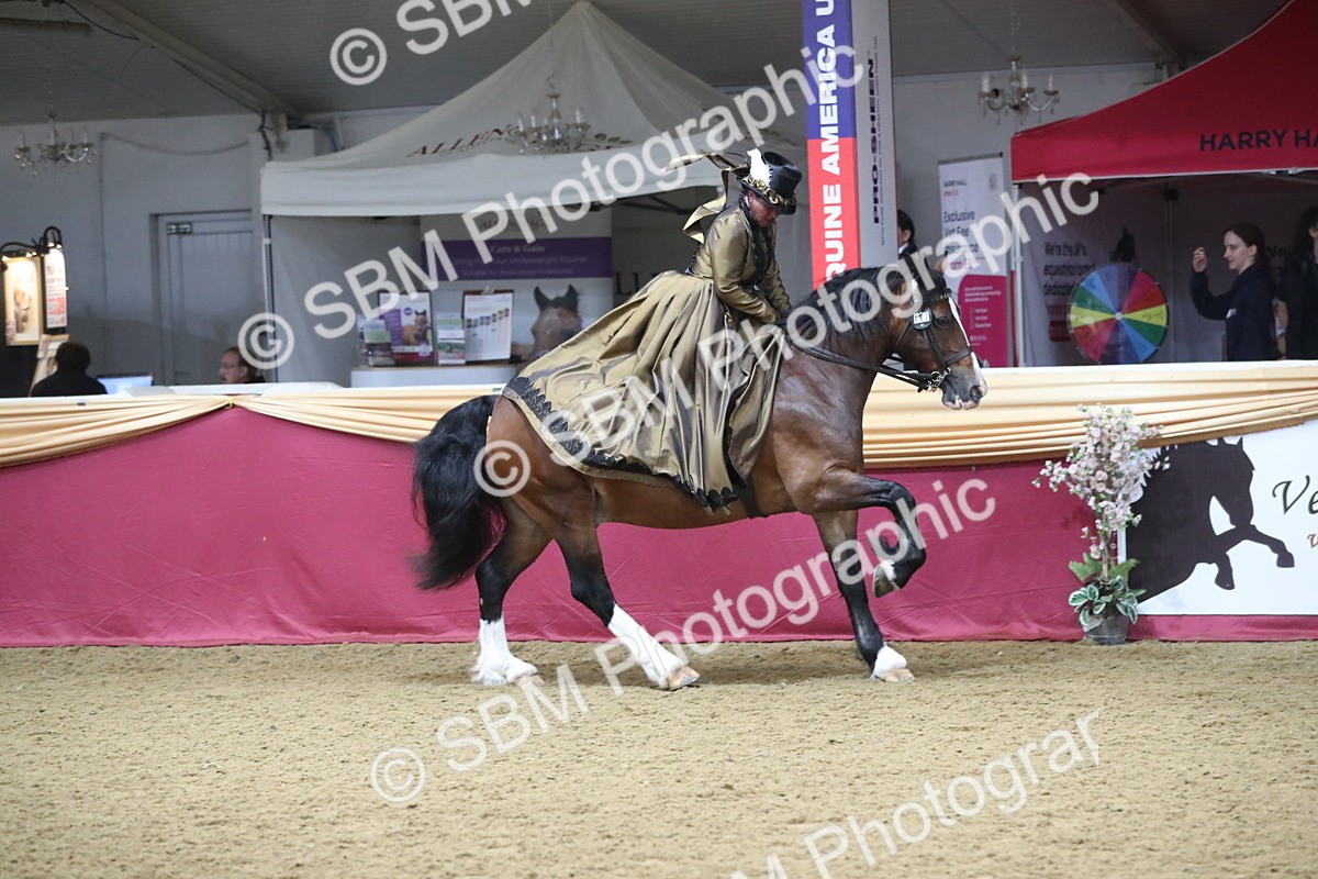 SBM_11994 - Class 106 Ridden Costume- Astride Adult (15-19)