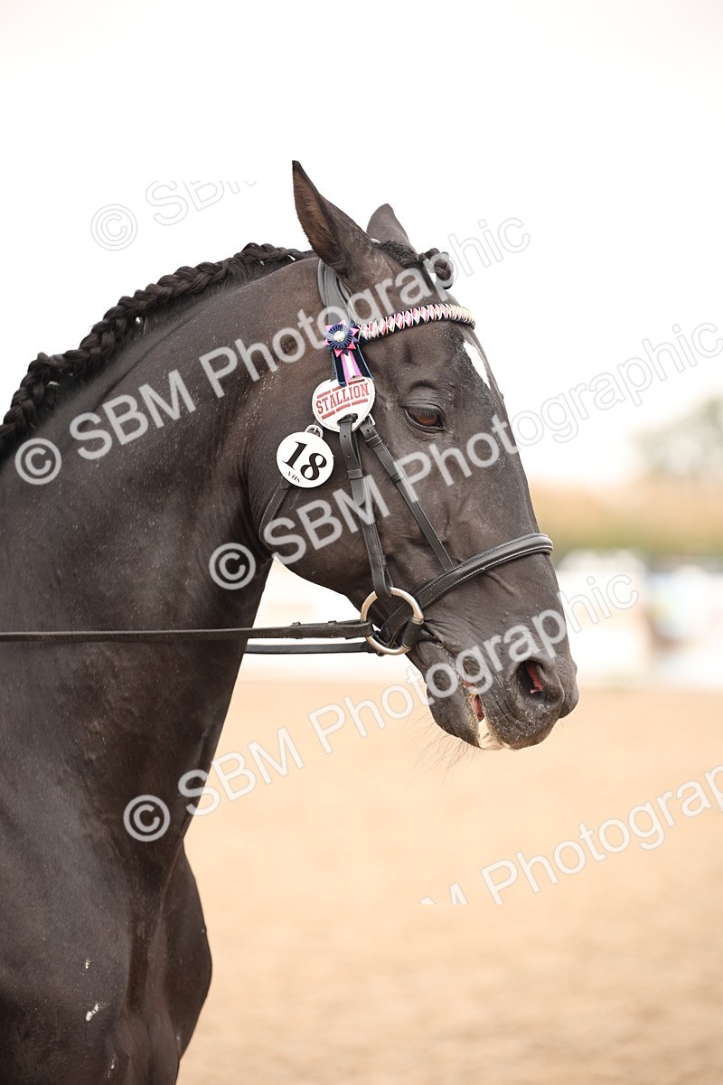 SBM_22240 - Class 708 - Ridden Rescue