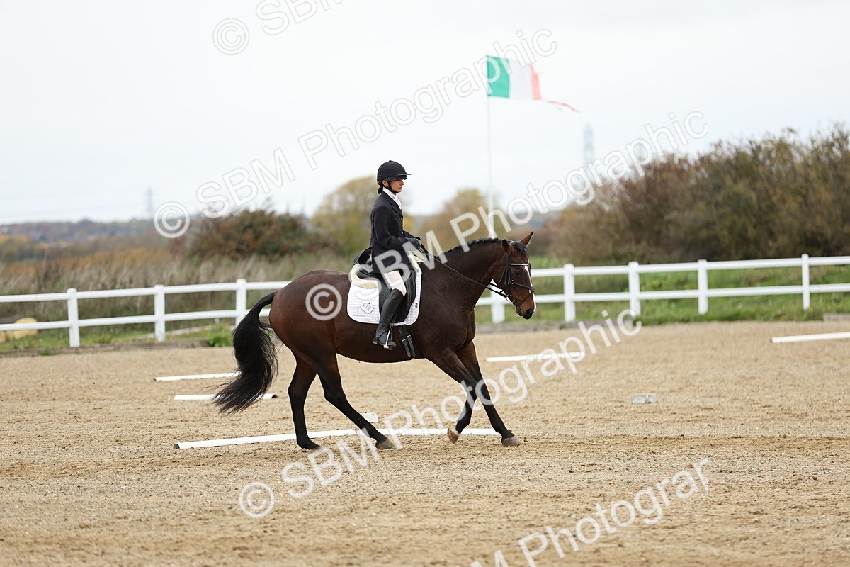 SBM_003800 - Class 9-12 - Novice 2 Elementary 3