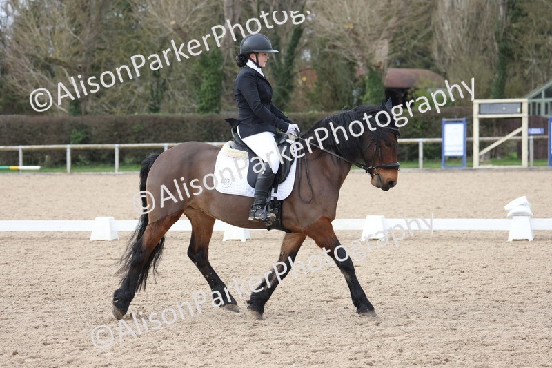 20260301-0931 - Class 6 - Elementary 5