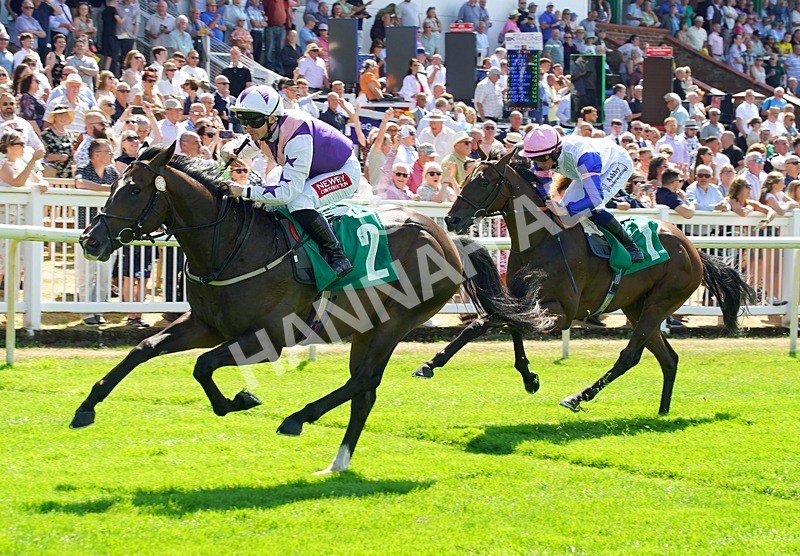240726-Race 2-Blakey Ridge-01125 - Race 2 14.30pm Sky Bet For The Fans EBF Novice Stakes