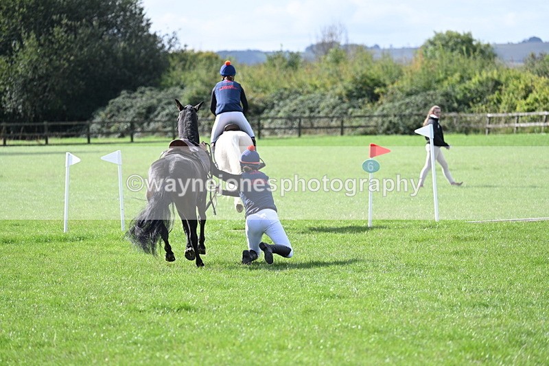 WJ7_8530 - 60cm Pairs