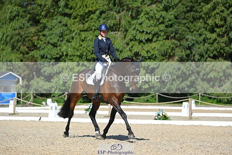 230526-160958-07282 - 254-PURE_TRENDSETTER-Ellie_Fredericks-WEDTrotUp+DR