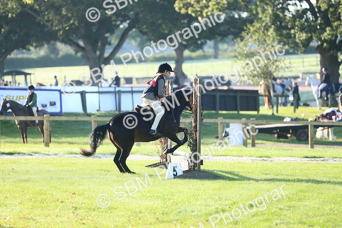 SBM_31916 - S28 - Nursery Stakes Working Hunter Pony