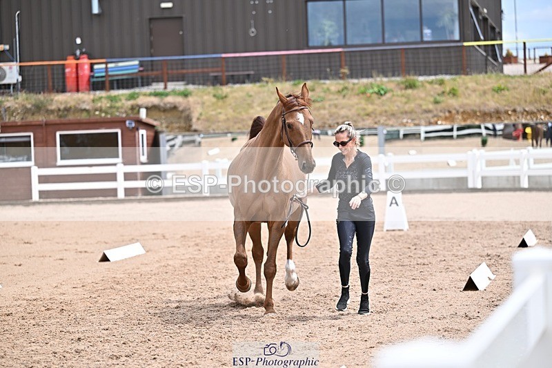 250716-132458-00496 - Trot Up 12.30 to 1.30