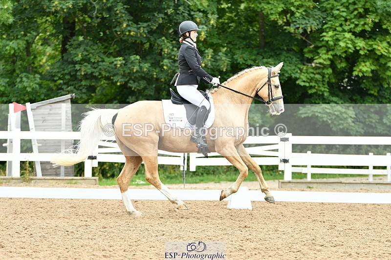 230702A-104048-08077 - Cls 27 Music Novice