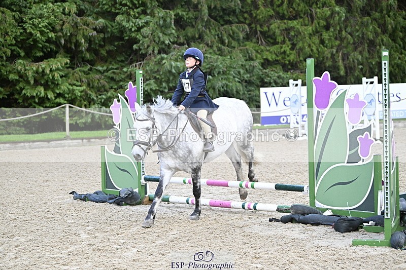 251005A-081958-02746 - Cls 01 GR 40cm