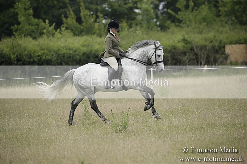 B230619-0525 - Bourne Valley Riding Club Summer Show 23/06/19