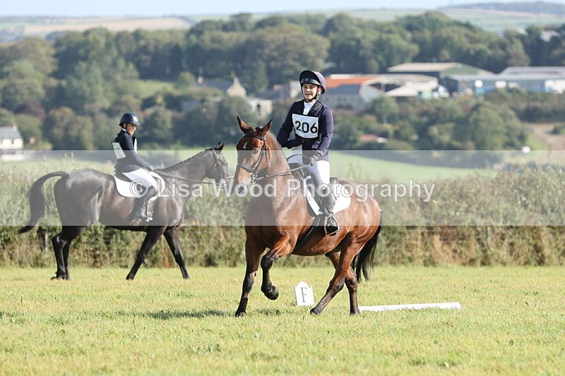 JPP_7939 - Class 2A: Trekenning Open: Dressage