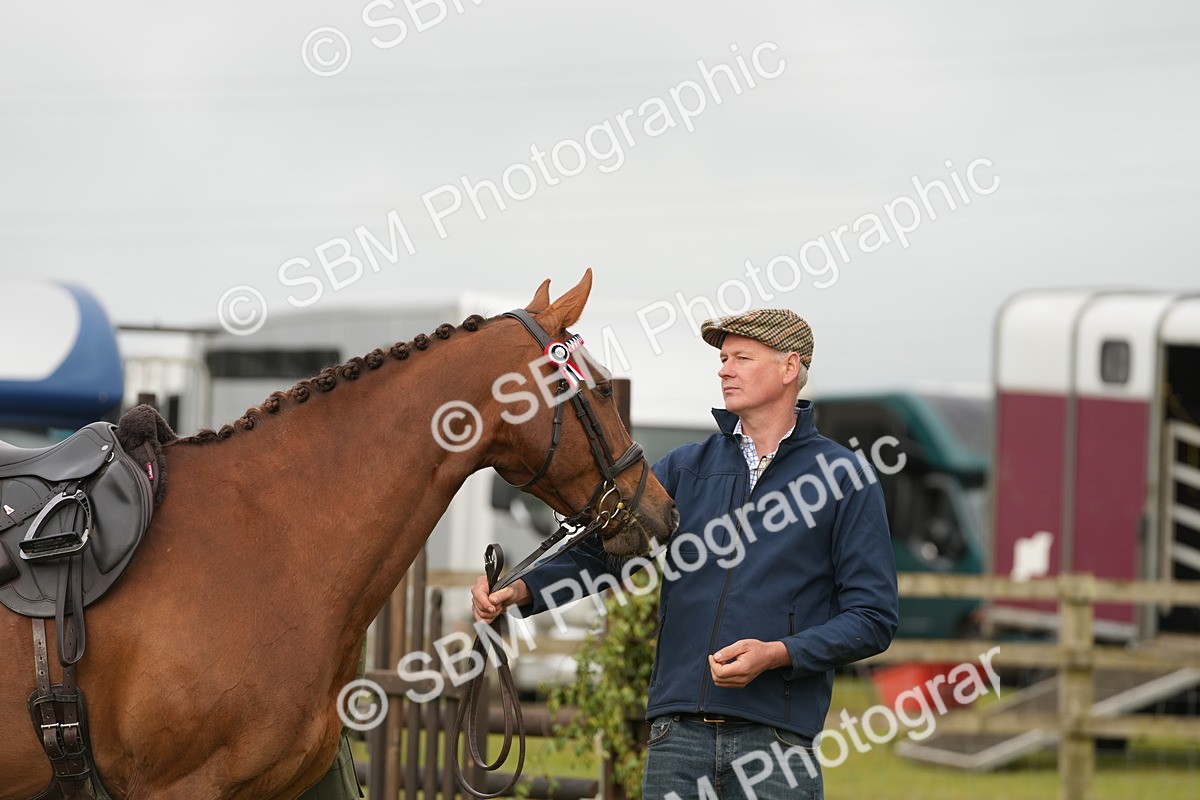 SBM_10635 - Class 97-98 - LIHS BSHA Rising Star Working Show Horse Hunter