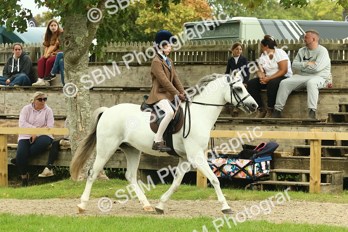 SBM_69916 - S59 - Mountain & Moorland Ridden Small Breeds
