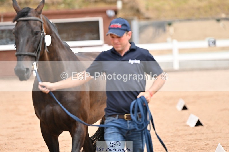 250716-150752-01664 - Trot Up 2.30 to 3.30