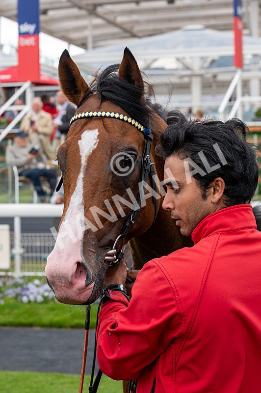 130626-Race 2-Extremely Zain-1740 - Race 2 14.25pm Sky Bet Supporting Macmillan Handicap