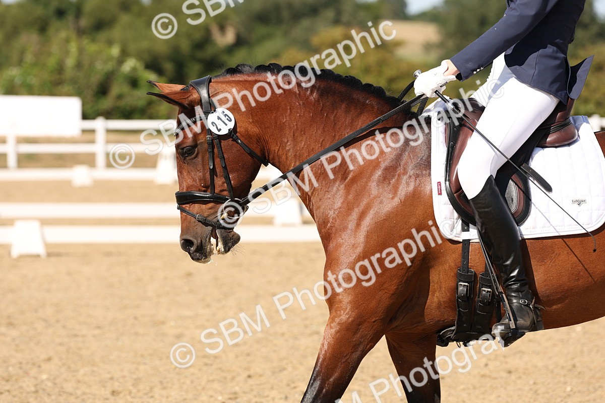 SBM_003820 - Elementary 4