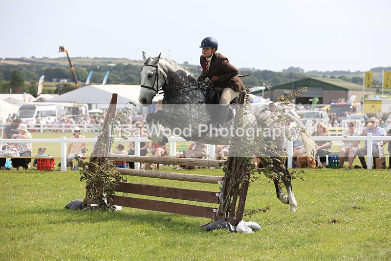 JPP_4002 - Class 24: Working Hunter 90cm