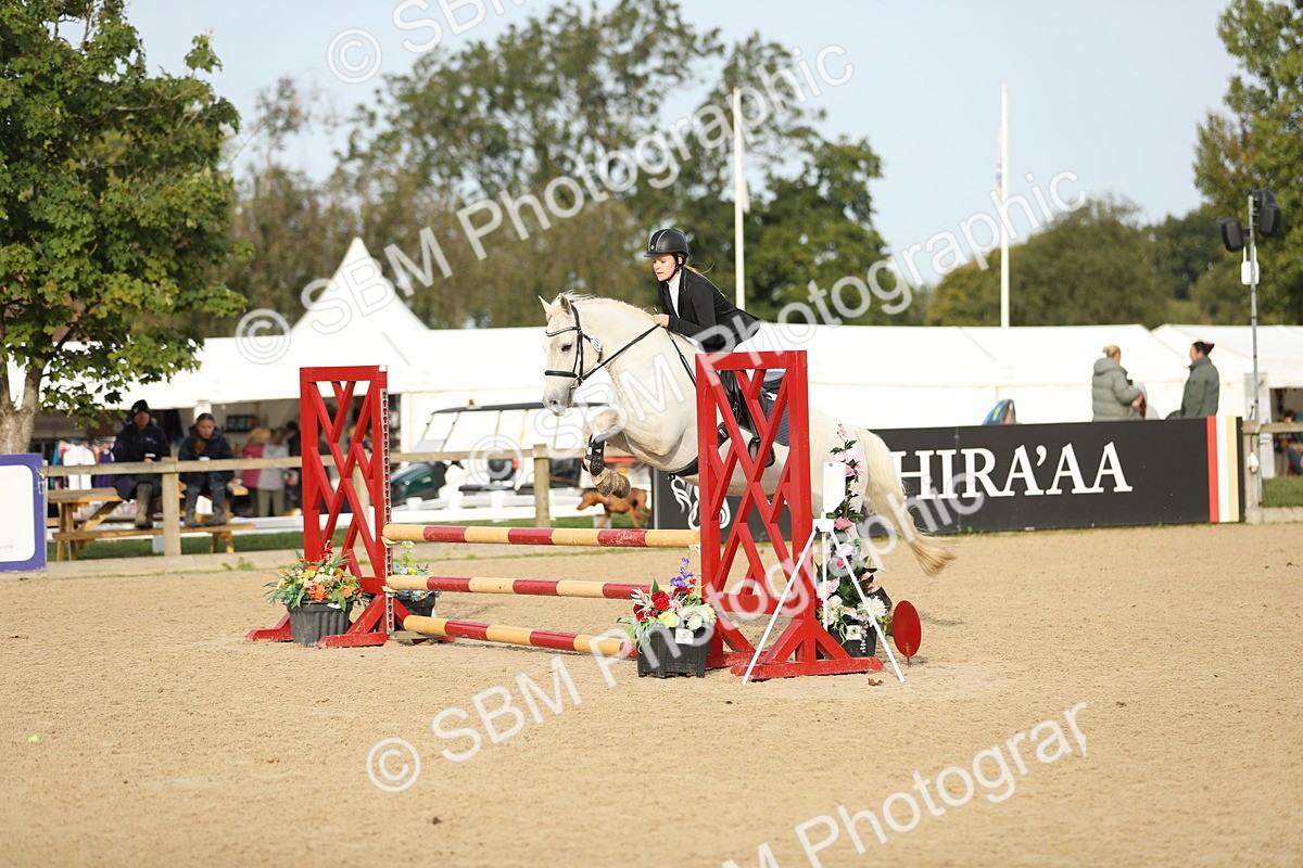 SBM_56116 - J24 - Junior Horse 75cm Championship
