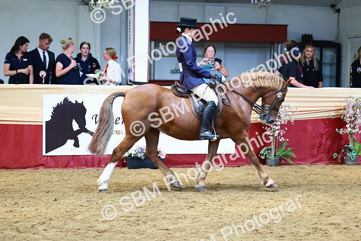 SBM_23184 - Class 904 - Supreme Final - Ridden Diamond