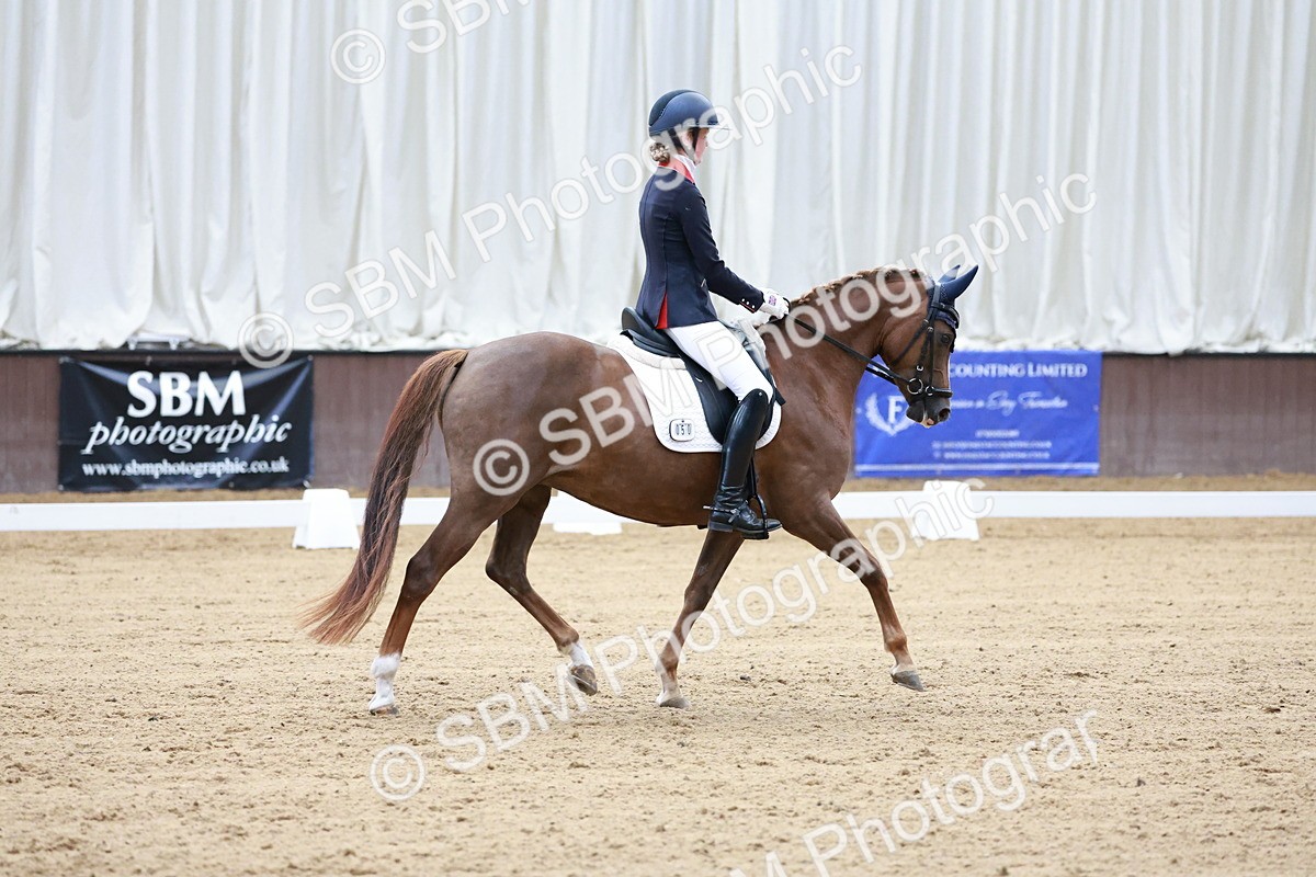 SBM_017176 - Class15 - FEI Pony