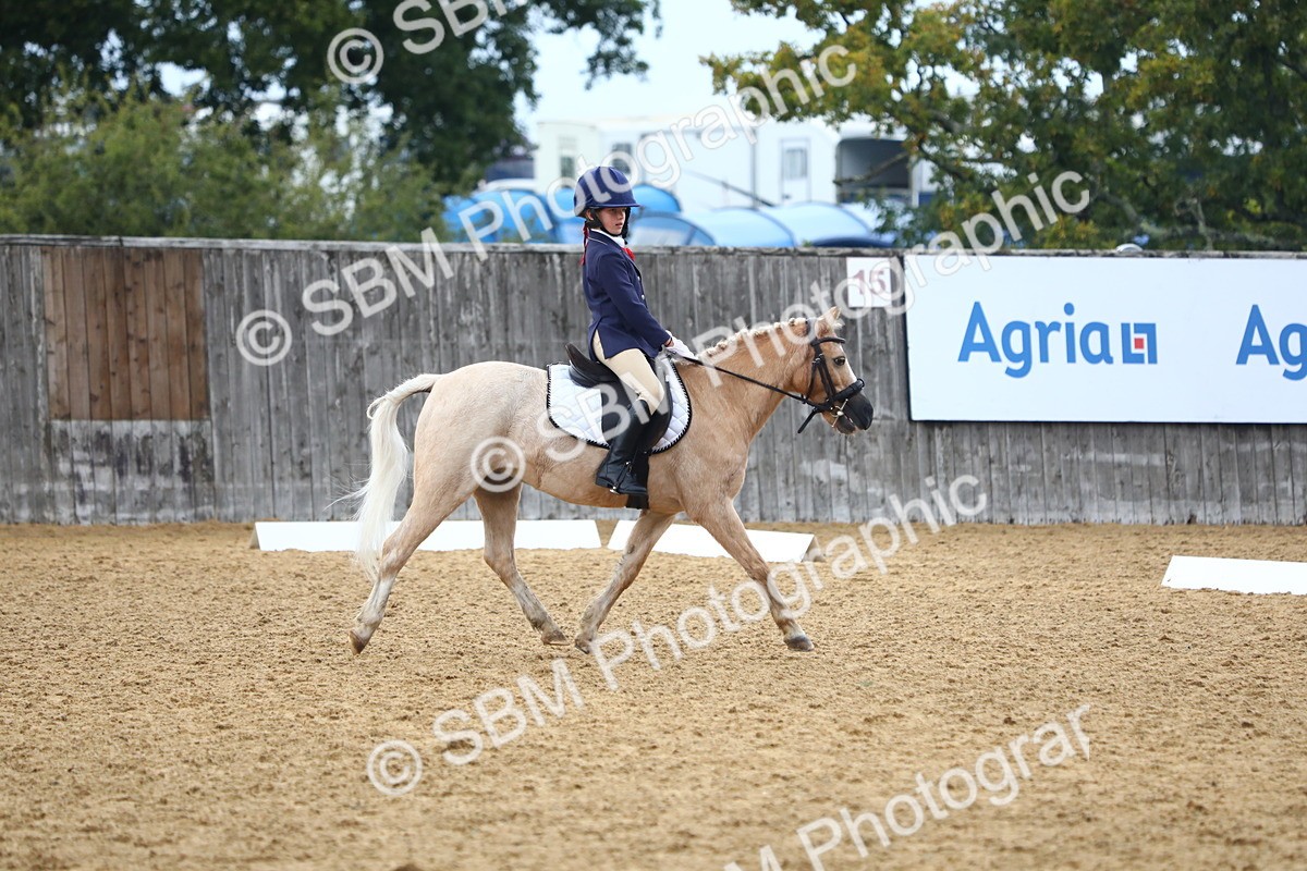 SBM_39050 - D21 - Junior Championship Intro 1